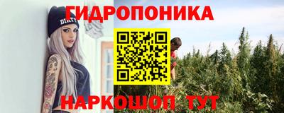трава Будённовск
