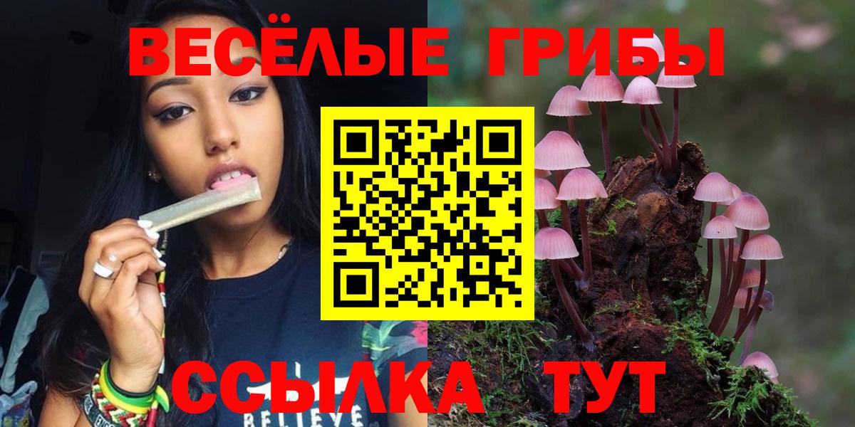 Псилоцибиновые грибы мицелий Муравленко
