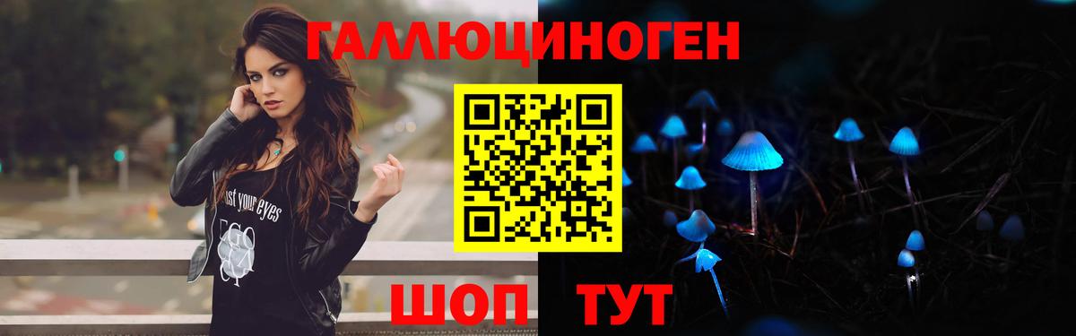 Галлюциногенные грибы Psilocybine cubensis  Галлюциногенные грибы мицелий  Муравленко  Вход с VPN 